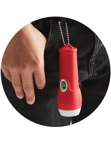 Brainstorm - Pocket Torch 12 units in a CDU