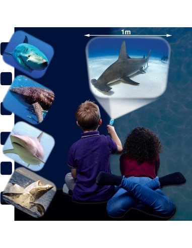 Brainstorm - Shark Torch and Projector - zaklamp haai