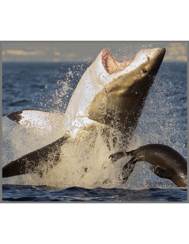 Brainstorm - Shark Torch and Projector - zaklamp haai