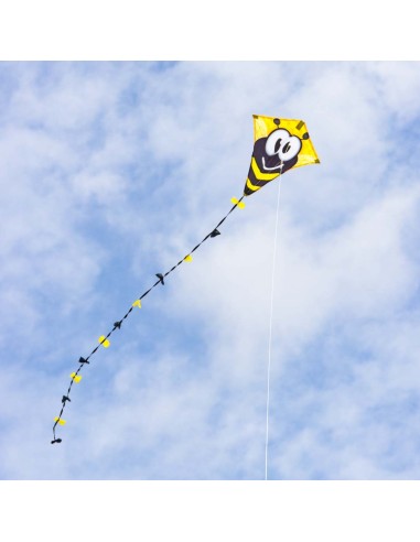 Eddy Bumble Bee - 50x45cm