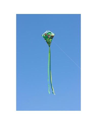 Eddy T-Rex - 70 x 58cm