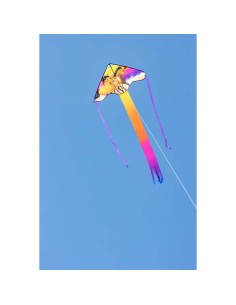 Simple Flyer Wild Horses -  42x85cm 2