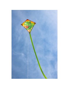 Mini-Eddy T-Rex -  40x40cm 2