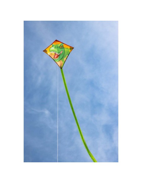 Mini-Eddy T-Rex -  40x40cm