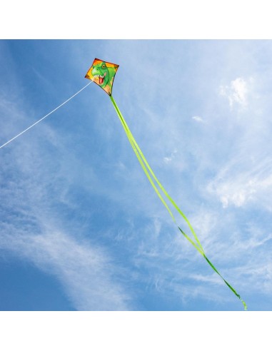 Mini-Eddy T-Rex -  40x40cm