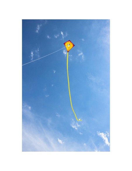 Mini-Eddy Sun -  40x40cm