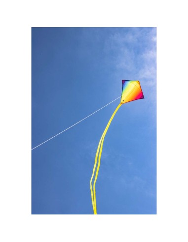 Mini-Eddy Rainbow -  40x40cm