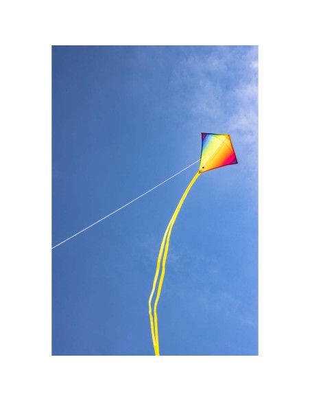 Mini-Eddy Rainbow -  40x40cm