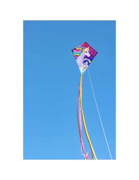 Eddy Unicorn eenhoorn -  70x58cm Kinderdraak