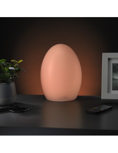 RED5 Home & Garden Mood Light - meerkleurige waterbestendige lamp met afstandbediening