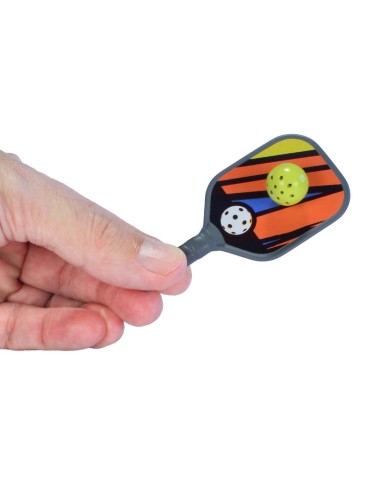 Worlds Smallest Pickleball Set