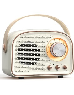 Satzuma - Retro Speaker 2