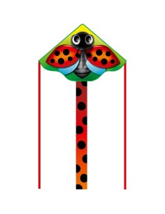 Simple Flyer Ladybug - 120x75cm