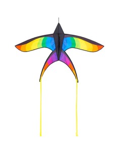 Swallow Kite Rainbow - 80x120cm 2