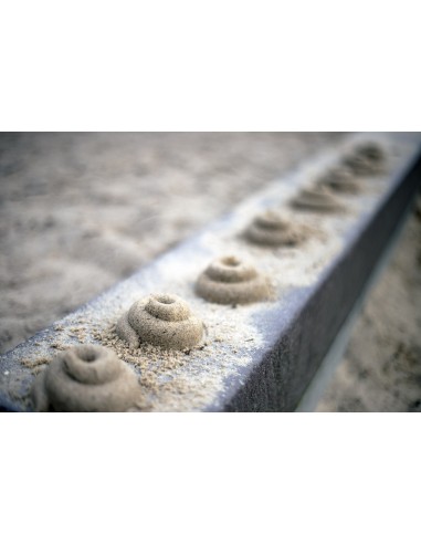 The Poop - zandvorm - bruin