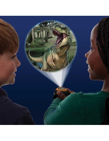 Brainstorm - Dinosaur Projector Watch