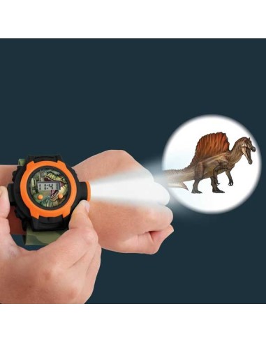 Brainstorm - Dinosaur Projector Watch