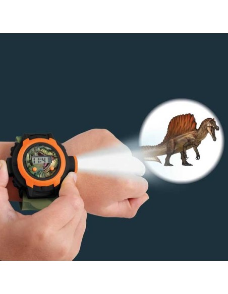 Brainstorm - Dinosaur Projector Watch