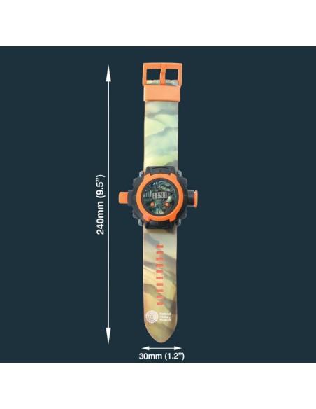 Brainstorm - Dinosaur Projector Watch