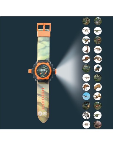 Brainstorm - Dinosaur Projector Watch