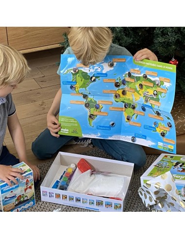 Mako Moulages - Bedreigde diersoorten panda koala tijger neushoorn 4 mallen voor sneldrogend gips set - pakket L