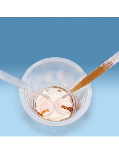 Brainstorm - Cool Chemistry - Complete set scheikundige reacties