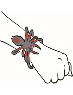 Buigzame spin 16 cm 3 designs 2