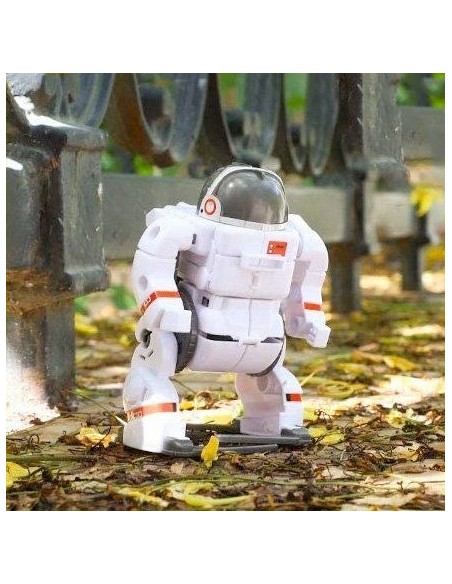 Satzuma - 6-in-1 Space Robots bouwpakket