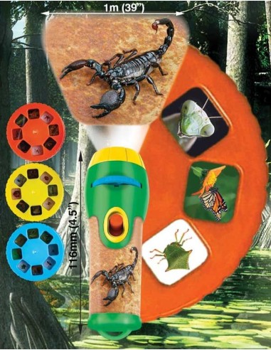 Brainstorm - Natural History Museum Creepy Crawly Torch and Projector - zaklamp insecten