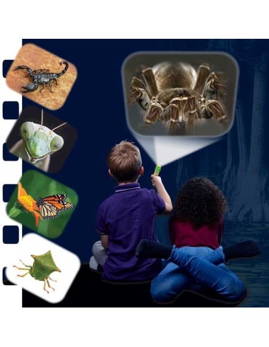 Brainstorm - Natural History Museum Creepy Crawly Torch and Projector - zaklamp insecten