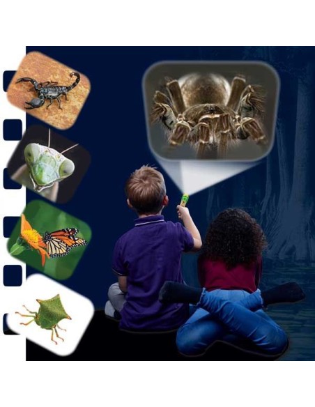 Brainstorm - Natural History Museum Creepy Crawly Torch and Projector - zaklamp insecten