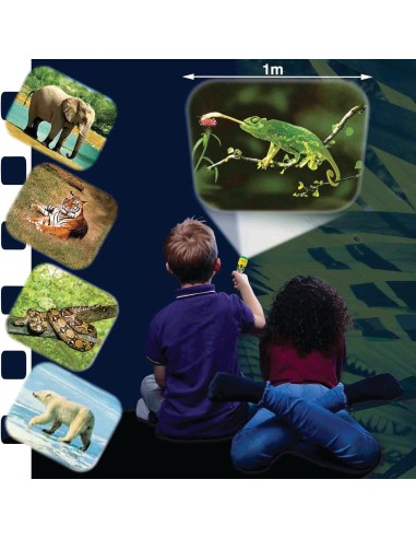 Brainstorm - Animal Torch and Projector - zaklamp dieren