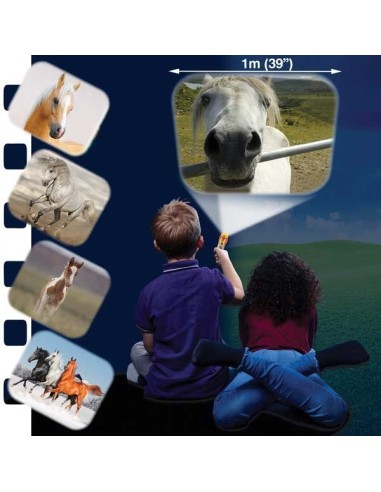 Brainstorm - Horse Torch and Projector - zaklamp paard