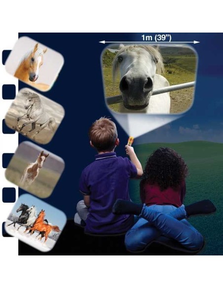 Brainstorm - Horse Torch and Projector - zaklamp paard