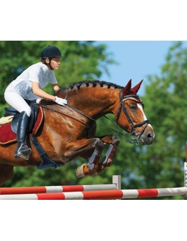 Brainstorm - Horse Torch and Projector - zaklamp paard