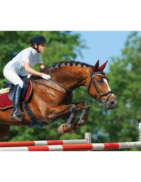 Brainstorm - Horse Torch and Projector - zaklamp paard