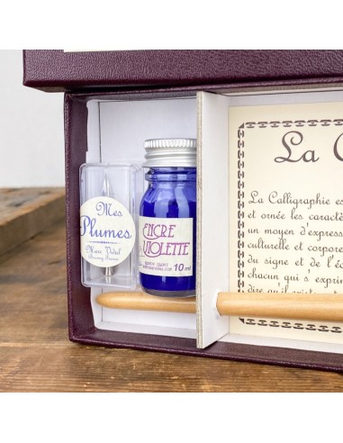 Marc Vidal - 483  - Kalligrafie set kroontjespen