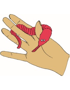 Magische worm - Wonderful Presents 2