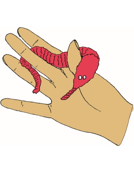 Magische worm - Wonderful Presents