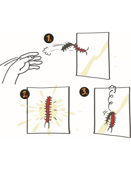 Kleverige duizendpoot 28 cm - Wild + Cool