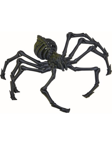 Zombiespin - Wild + Cool