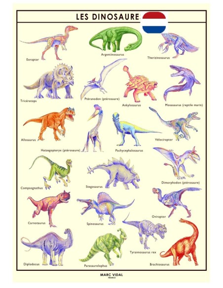 Marc Vidal - Poster Dinosaurussen in kartonnen koker NL