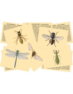 Marc Vidal - 165NL - Ken je de insecten? NL 2