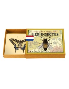 Marc Vidal - 165NL - Ken je de insecten? NL per 6