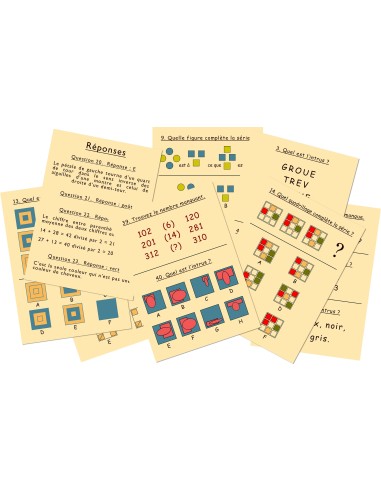 Marc Vidal - 454NL - Test je IQ NL