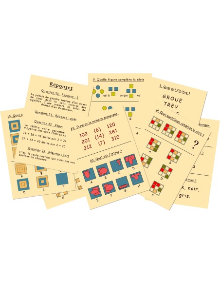 Marc Vidal - 454NL - Test je IQ NL