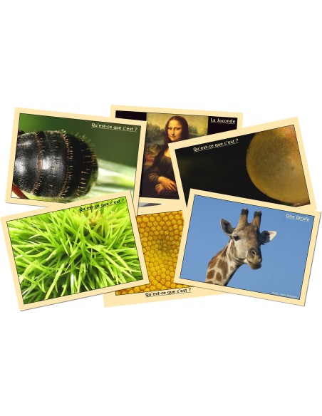 Marc Vidal - 325NL - Wat is het? NL