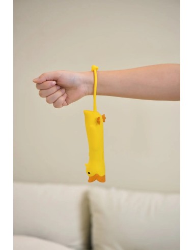 Animal Flashlight Eend