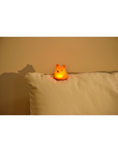 Tiny Nightlight Vos