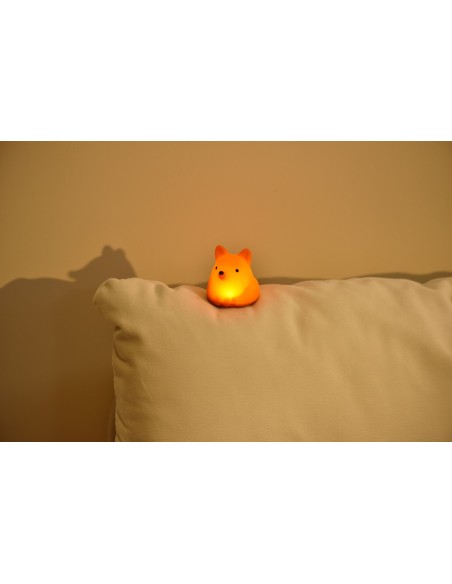 Tiny Nightlight Vos